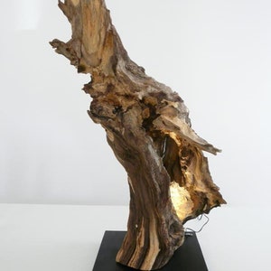 Table lamp oak burl wood sculpture image 1