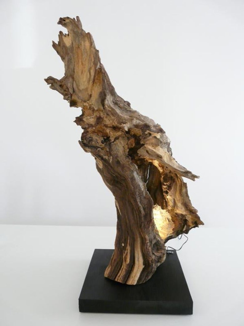 Table lamp oak burl wood sculpture image 1