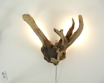 Driftwood wall lamp Dokumenta 15 contribution with radio dimmer