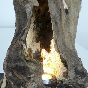 Table lamp oak burl wood sculpture image 3