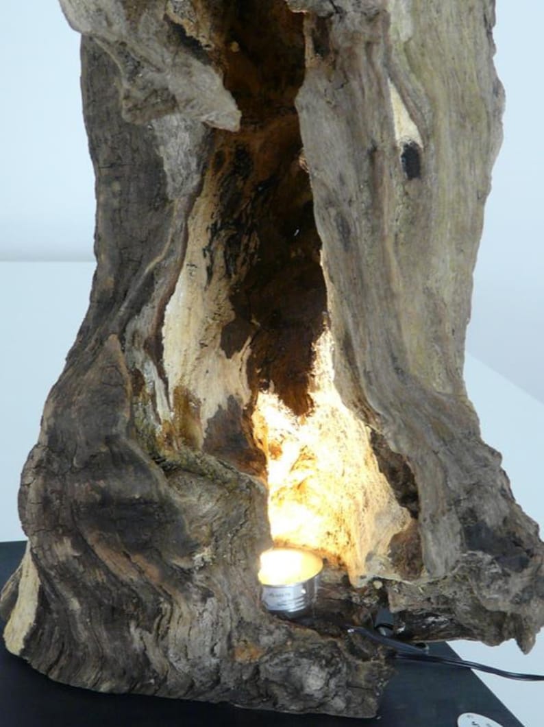 Table lamp oak burl wood sculpture image 3