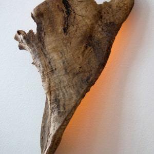 Driftwood wall light incl. LED lighting amber image 1