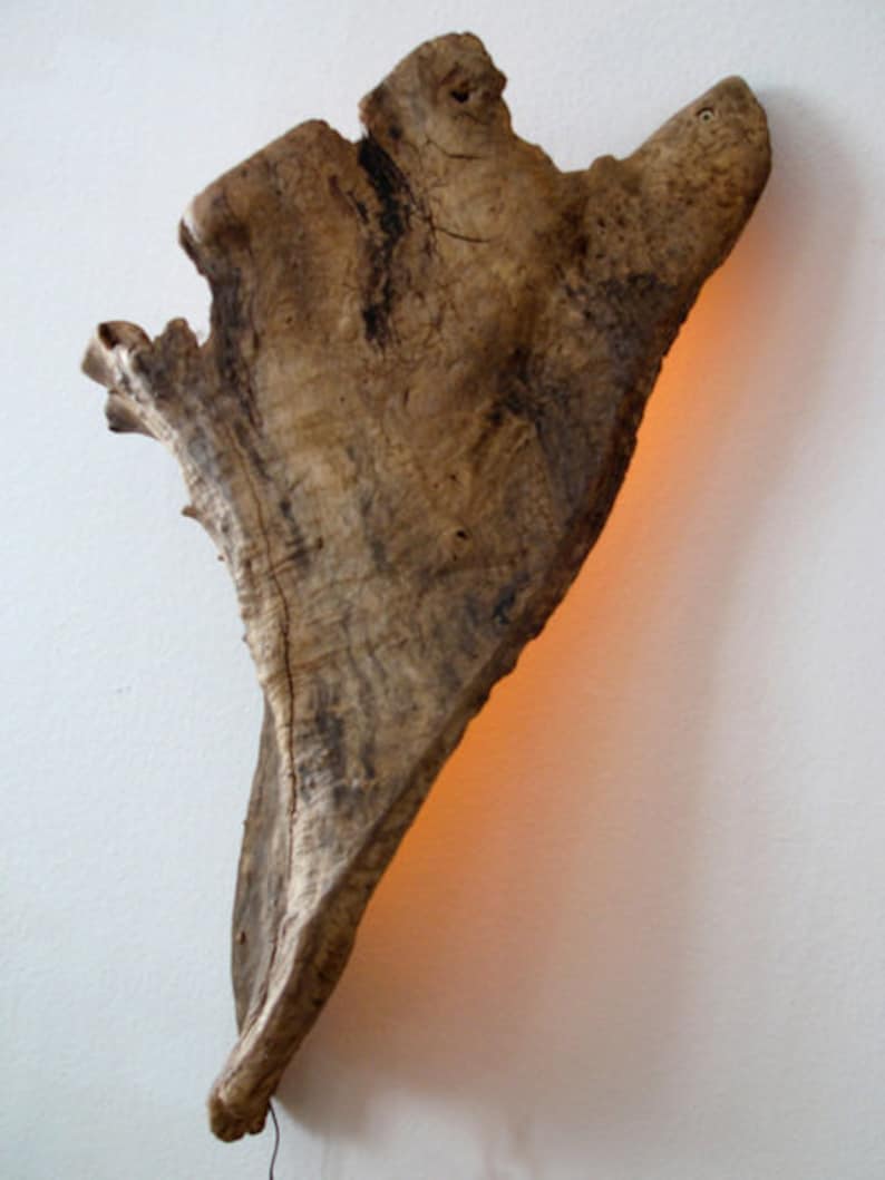 Driftwood wall light incl. LED lighting amber image 1