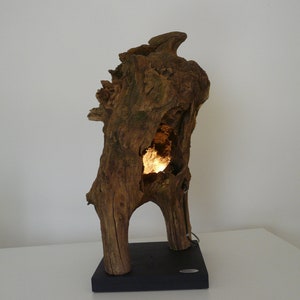 Table lamp oak burl wood sculpture