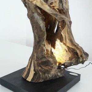 Table lamp oak burl wood sculpture image 2