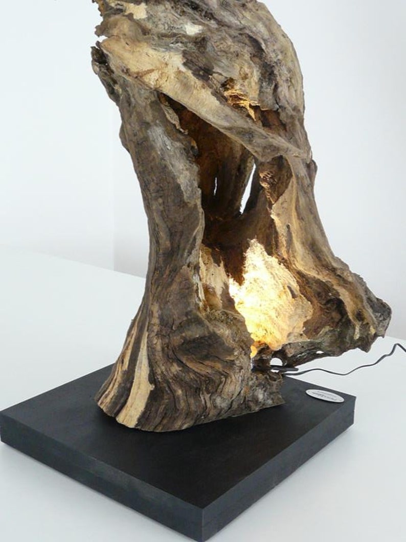 Table lamp oak burl wood sculpture image 2