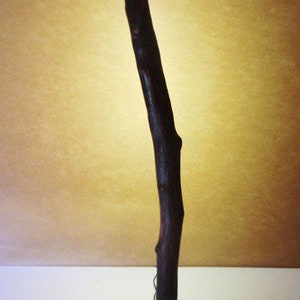 Könnte beinhalten: Eine hohe, dunkelbraune Holzlampe mit einem gebogenen Schaft und einem runden Metallfuß. Die Lampe ist eingeschaltet und strahlt ein warmes Licht aus.