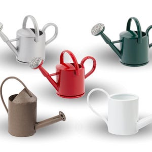 Könnte beinhalten: Fünf Miniatur-Gießkannen in verschiedenen Farben: Silber, Grün, Rot, Braun und Weiß. Die Gießkannen sind alle gleich groß und haben die gleiche Form, mit einem kleinen Ausguss und einem Griff.