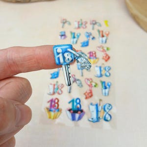 Sticker 18. Geburtstag – 23 Aufkleber zur Volljährigkeit mit Schlüssel für Führerschein, Sekt | 17x9cm Stickerbogen Party-Deko Scrapbooking