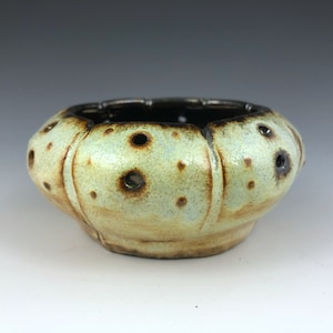 Aqua, Sea Urchin, Ocean, Sea life, Coastal, Handmade, Art Pottery