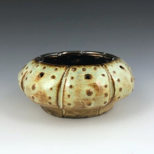 Aqua, Sea Urchin, Ocean, Sea life, Coastal, Handmade, Art Pottery