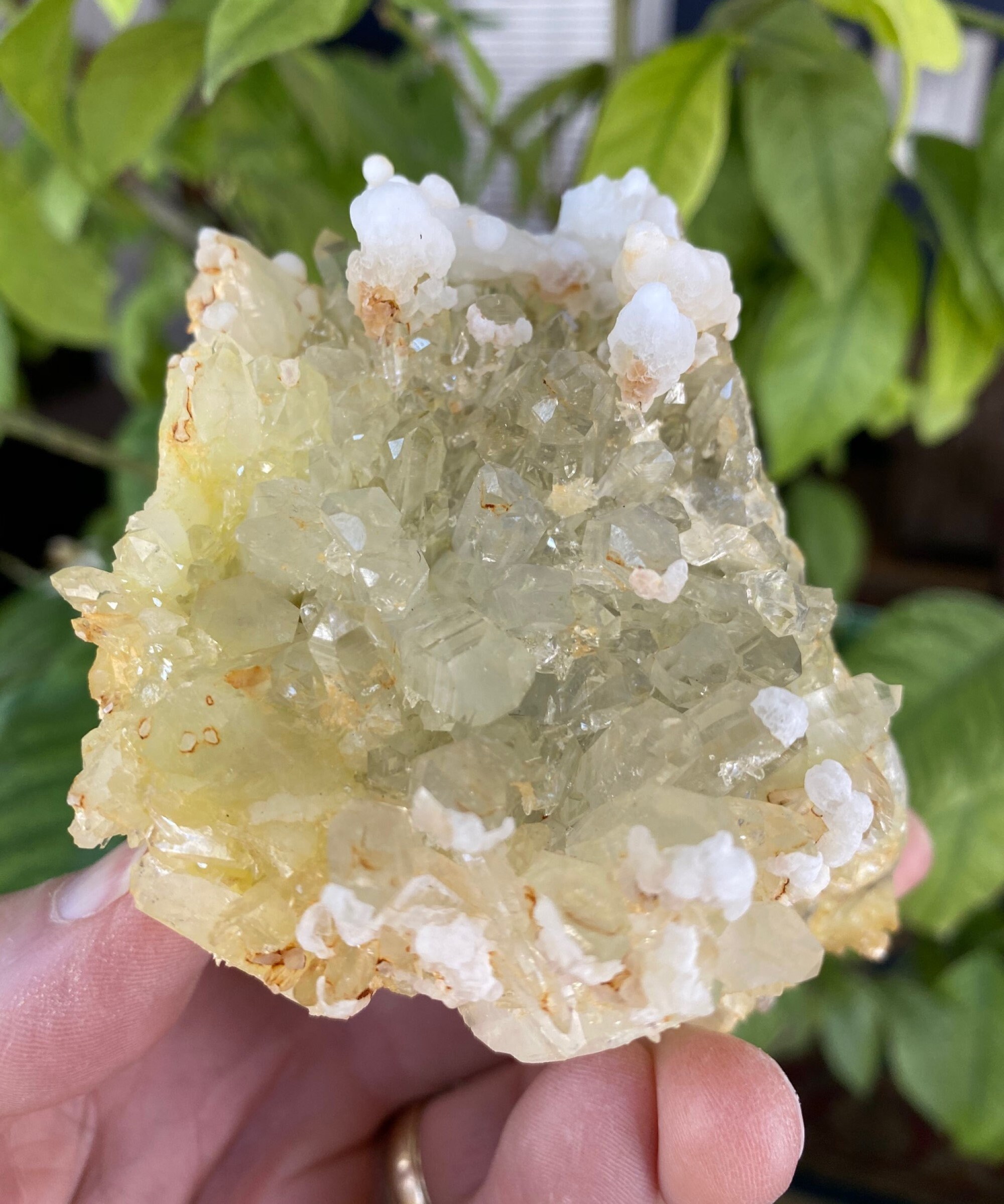 Yellow Quartz Cluster with Dolomite Etsy