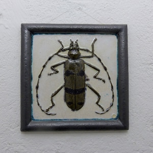 artistic wall decoration/mural/ceramic plate with modeled insect "ALPENBOCK"