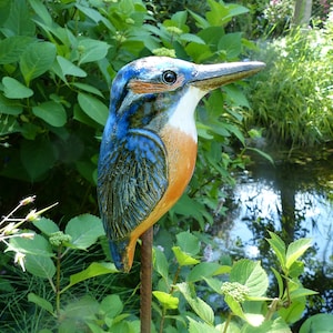 Gartenkeramik frostfester EISVOGEL in leuchtendem Blau Bild 3