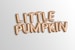 Cyber sale Little Pumpkin 16' Letter balloons Banner Rose Gold Birthday Banners First Baby Shower Photo Prop Garland Banners Decor 