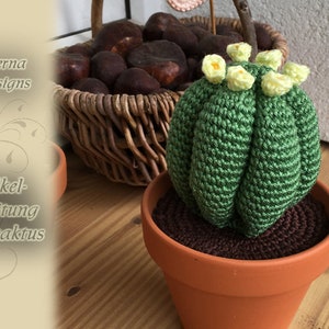 PDF crochet pattern ferocactus with flowers