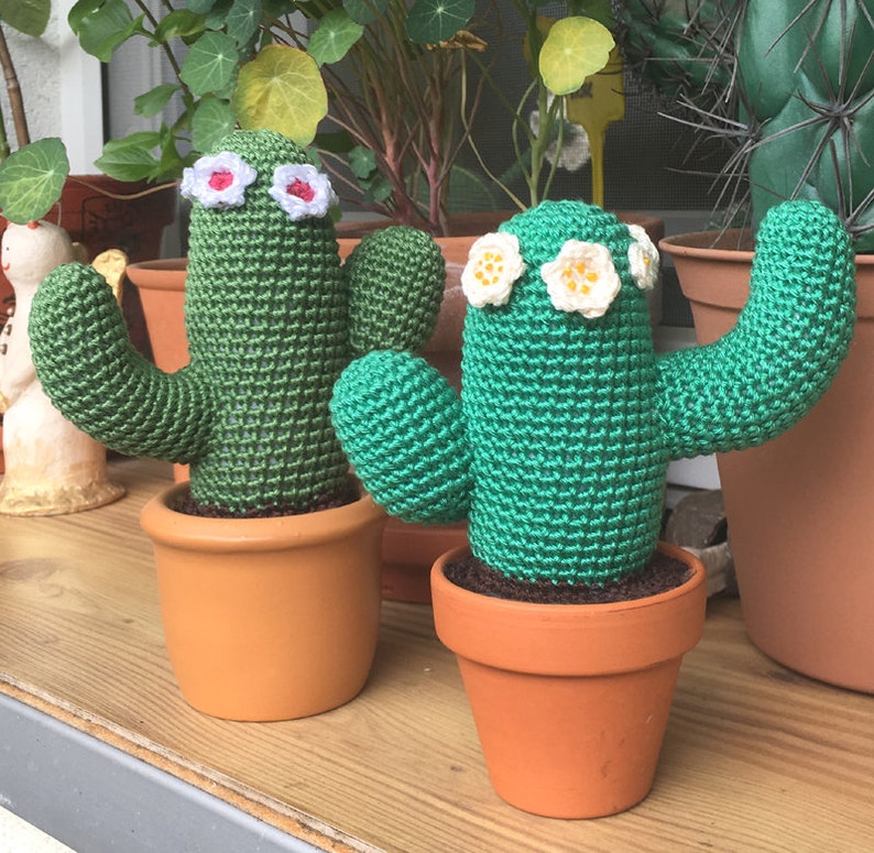 PDF crochet pattern columnar cactus Cereus with flowers image 1