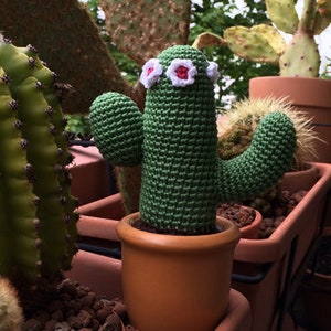 PDF crochet pattern columnar cactus Cereus with flowers image 3