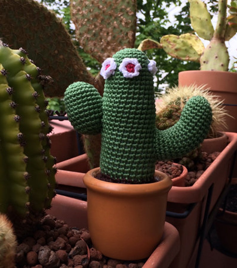 PDF crochet pattern columnar cactus Cereus with flowers image 3