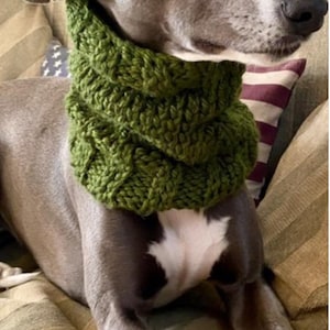 Grube dzianinowe kominy | Greyhound | lurcher | Whippet