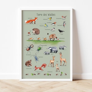 Kinderzimmer-Poster Waldtiere *Tiere des Waldes*, ökologischer Druck