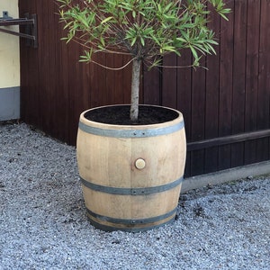 Plant pot made from 3/4 used 225l wine barrel (170l)