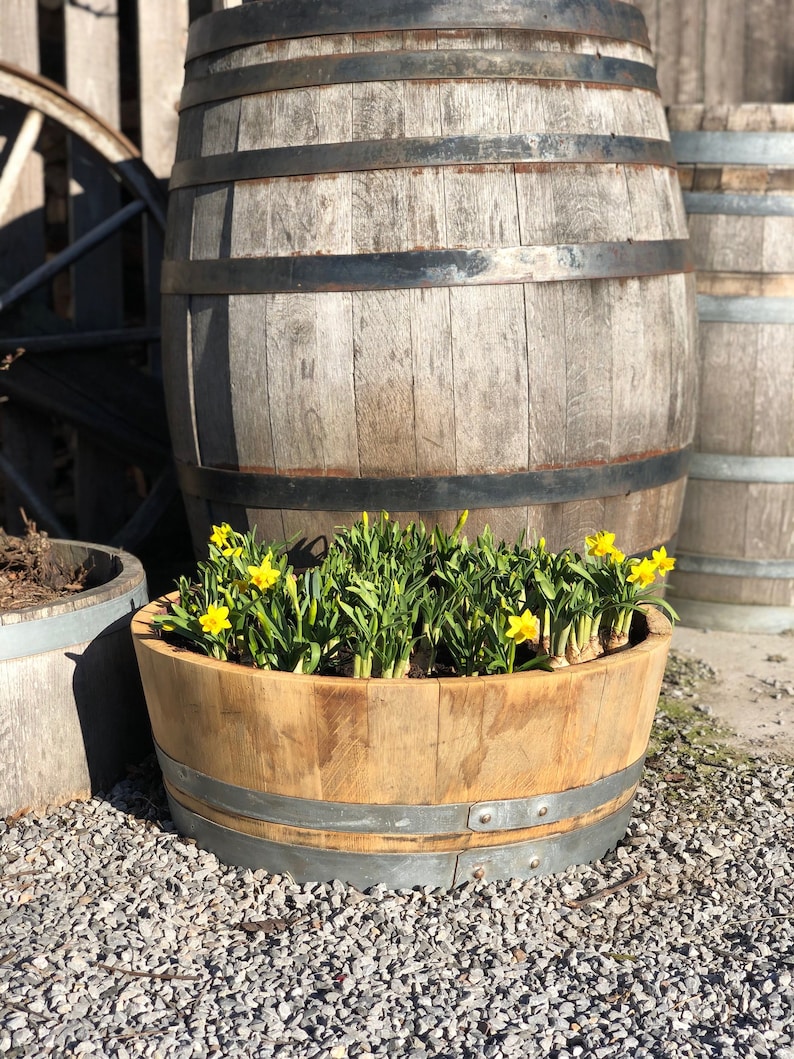 Flower pot made from 1/4 used 225l wine barrel 55l natur