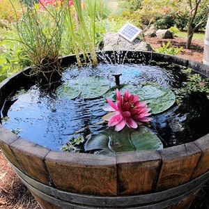 Mini pond made from 1/2 used 225l wine barrel 100l image 9