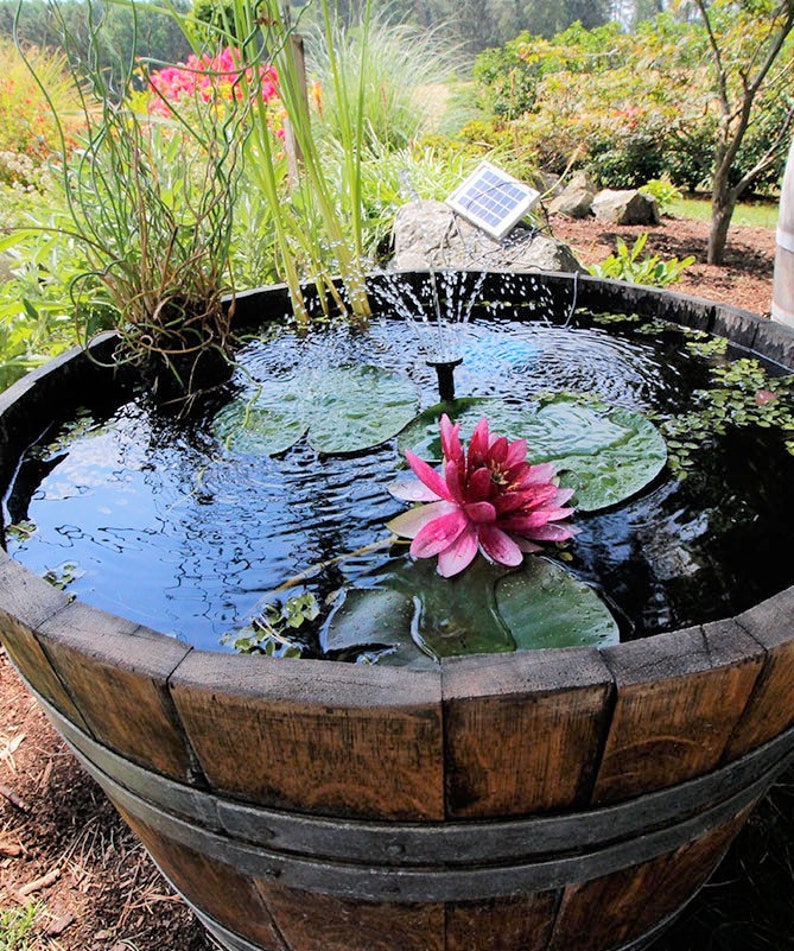 Mini pond made from 1/2 used 225l wine barrel 100l image 9