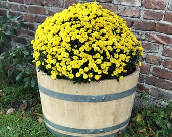 Bloempot gemaakt van 1/2 gebruikt 225l wijnvat (100l)