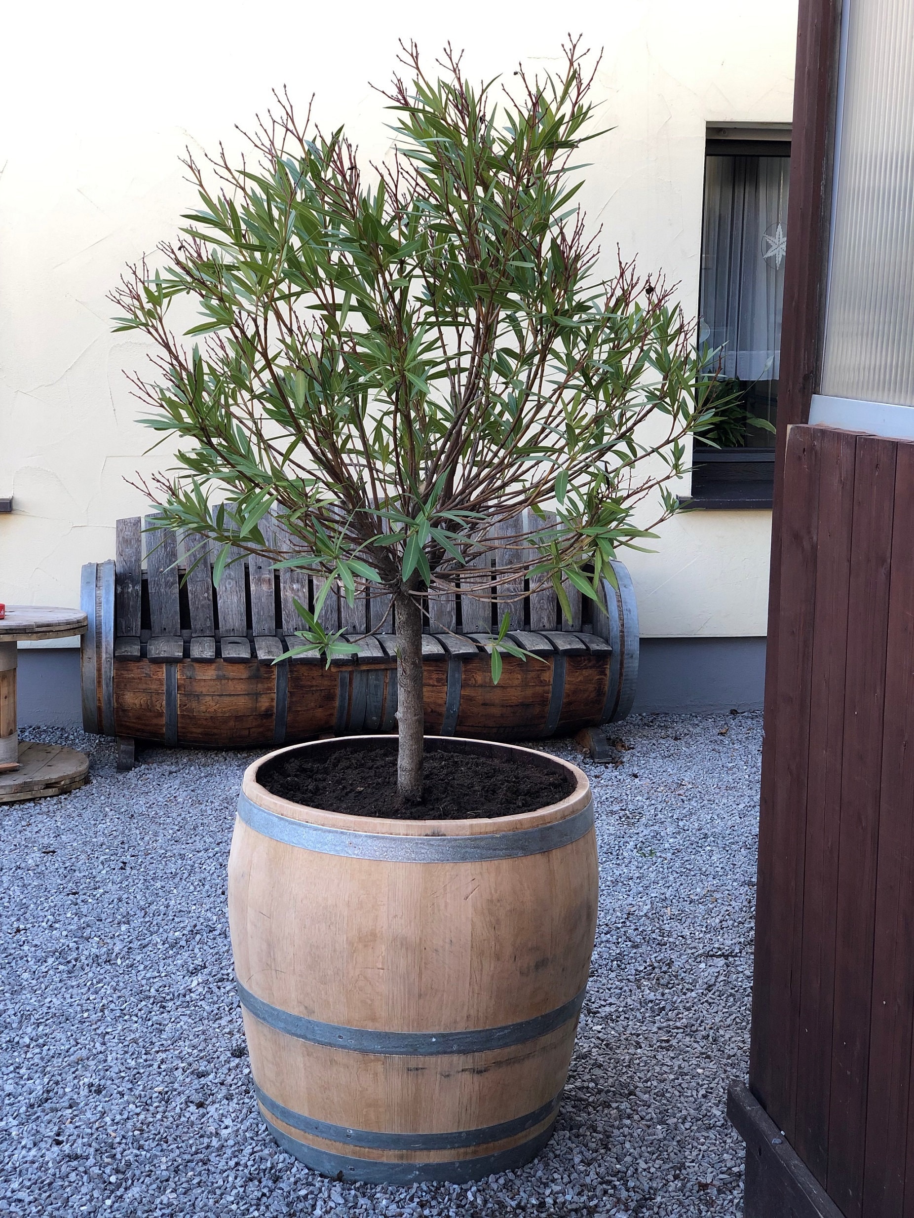 Jardinera realizada a partir de 3/4 de barril de vino usado de 225l (170l)  - Etsy México, image size:1852x2468