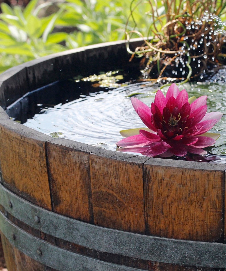 Mini pond made from 1/2 used 225l wine barrel 100l image 7