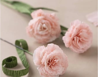 Craft Set Paper Flower Carnations- DIY Paper Crepe Paper