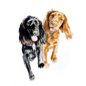 Aangepaste handgeschilderde aquarelschilderijen, sleutelhangers, huisdierportret, paard, huisdierportretten, uniek, hondentekening, mensen schilderen in opdracht