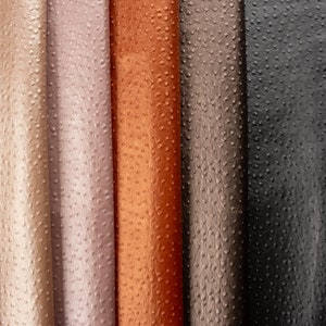 Könnte beinhalten: Fünf verschiedene Farben von Straußenleder, von links nach rechts: Beige, Hellrosa, Orange, Roségold und Schwarz.