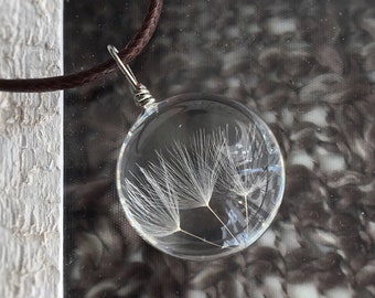 real dandelion umbrella glass chain with leather strap in brown dandelion chain 3 dandelion seeds