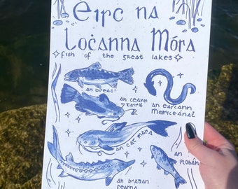 prionta éisc na lochanna móra / fish of the great lakes print