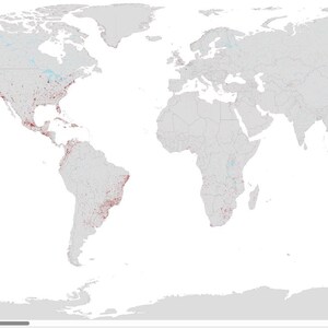 Peut inclure: Une carte du monde sur fond gris clair présentant des points de données rouges dispersés, concentrés principalement en Amérique du Nord, en Amérique centrale, en Amérique du Sud et dans une petite partie de l'Afrique australe.