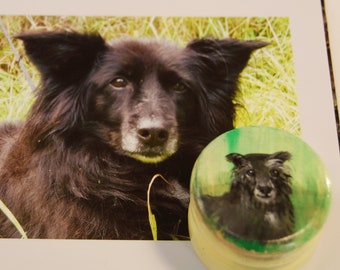 Tooth box painted for a dog, dog tooth can