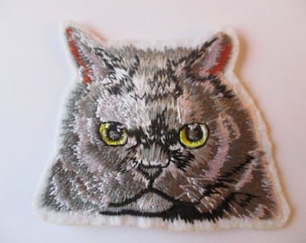 Perserkatze Grau Perserkatze Stock Foto 2019 12 13