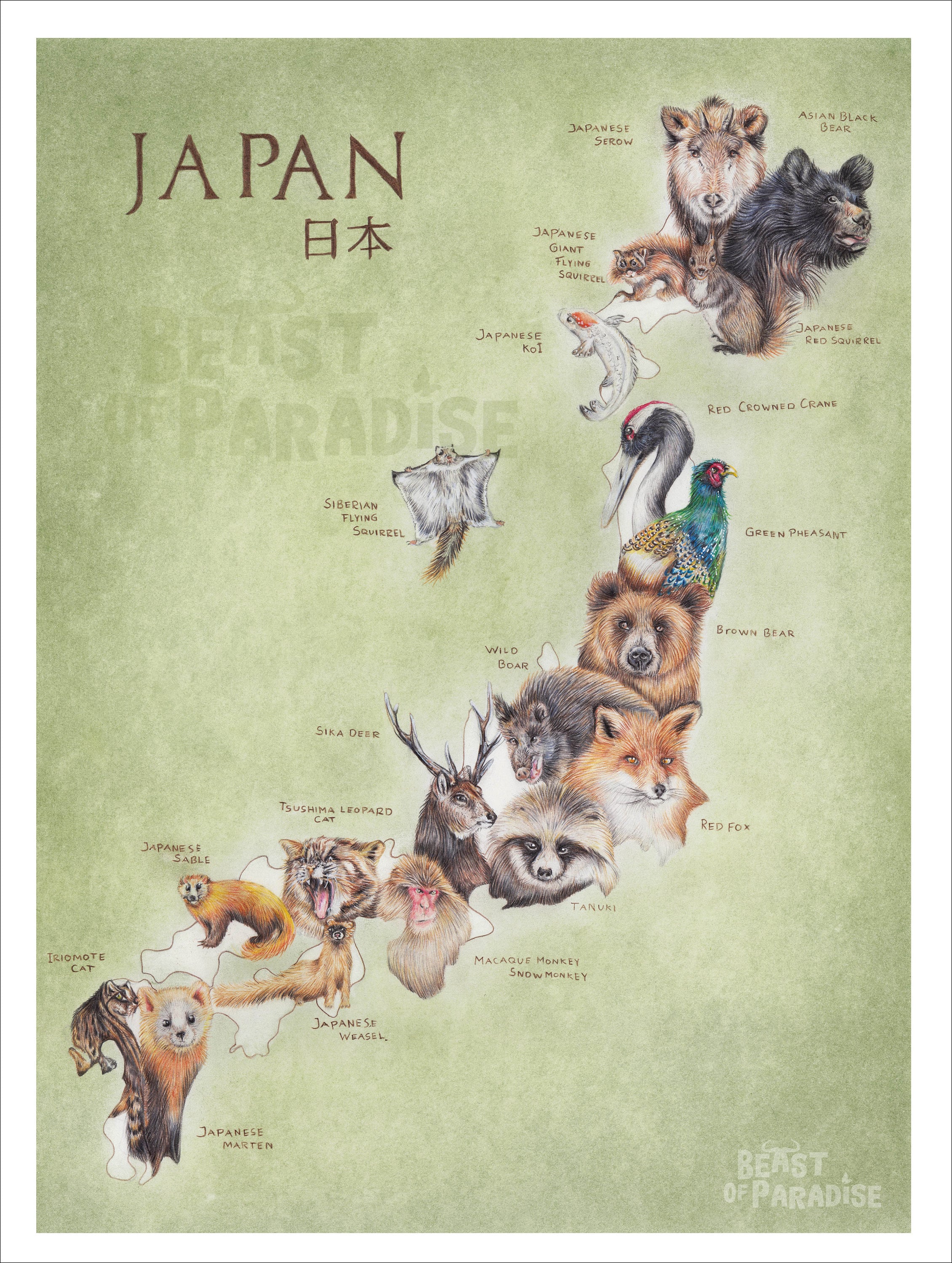 Wildlife of Japan, 30 X 40 Cm, Map Art Print, Animal Map Wall, Adventure  Gifts, Wanderlust Gift, Travel Poster, Nature Lover Gift, Japanese - Etsy