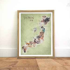 Tiere von Japan, 30 x 40 cm, Karte Kunstdruck, Tierlandkarte, Geschenk für Weltreisende, Reiseposter, Bleistiftillustration, japanisches Geschenk