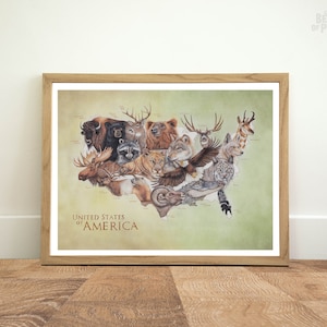 Animali degli Stati Uniti d'America, 30 x 40 cm, stampa artistica su mappa, mappa del paese degli animali, viaggiatore regalo, poster di viaggio, illustrazione a matita