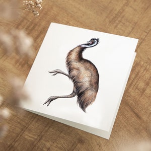 Emoe Kaart, Verjaardagskaart, Blanco Wenskaart, Dieren Kaarten, Grappige Kaarten, Zomaar Kaart, Vogel Wenskaart, Australië Kaarten, Art