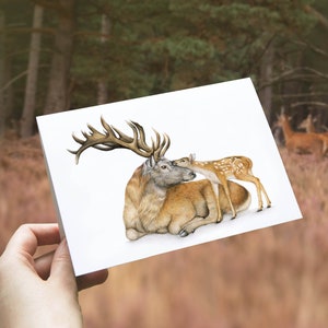 Edelhert Kaart, Verjaardagskaart, Blanco Wenskaart, Dieren Kaarten, Grappige Kaart, Feest, Zomaar Kaart, Dieren Wenskaart, Vaderdag, Herten