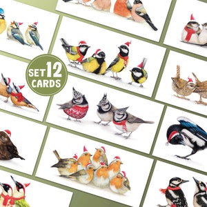 12 Weihnachtskarten mit Vögeln, 12er-Set, handgemachte Tiergrußkarten, Wintergeburtstagskarte, Bleistiftillustration, Geschenk