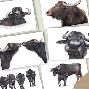 Waterbuffel Kaarten, Set van 6, Blanco Wenskaarten, Verjaardagskaarten met Dieren, Waterbuffelboerderij, Koeien Kaarten, Waterbuffel Cadeaus