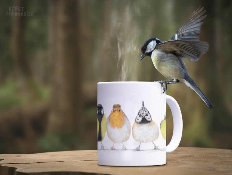 Bird Mug, Animal Mugs, Cute Little Birdies, Cute Ceramic Mug, Gift for Bird Lovers, Gift For Bird Watcher, Funny Mugs, UK Garden Birds image 5