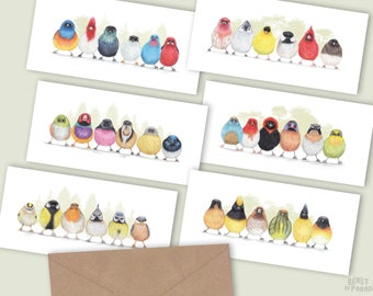 6 Leuke Wenskaarten, Set van 6, Dieren Wenskaarten, Kaarten met Vogels, Vogel Verjaardagskaarten, Vogel Cadeaus, Cute Little Birdie Kaarten