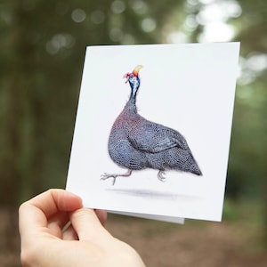 Perlhuhn, Geburtstagskarte, süße Grußkarte, Tierkarten, lustige Karten, einfach jede Karte, Poelepetaat-Karten, Tiergeschenke